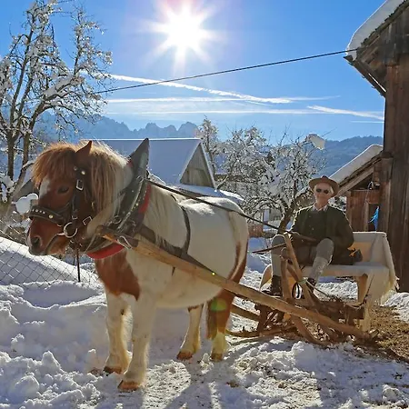 施瓦登格尔特酒店