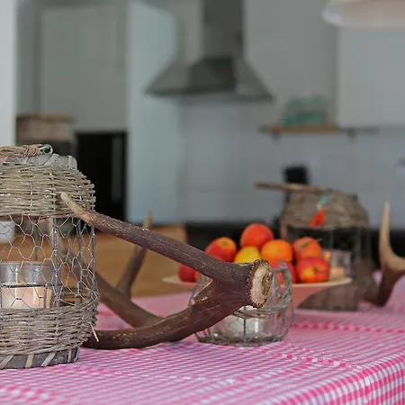 木屋 施瓦登格尔特酒店 *