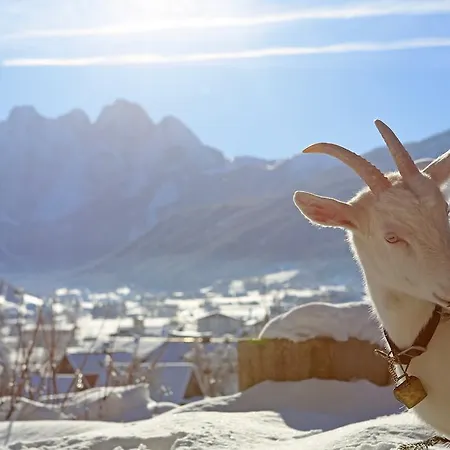 Chalé Schwadenguetl Gosau