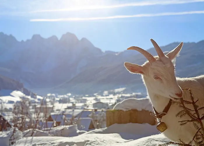 Domek alpejski Schwadenguetl Gosau